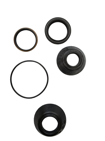 258585C91-genuine-international-steering-gear-input-shaft-seal-kit