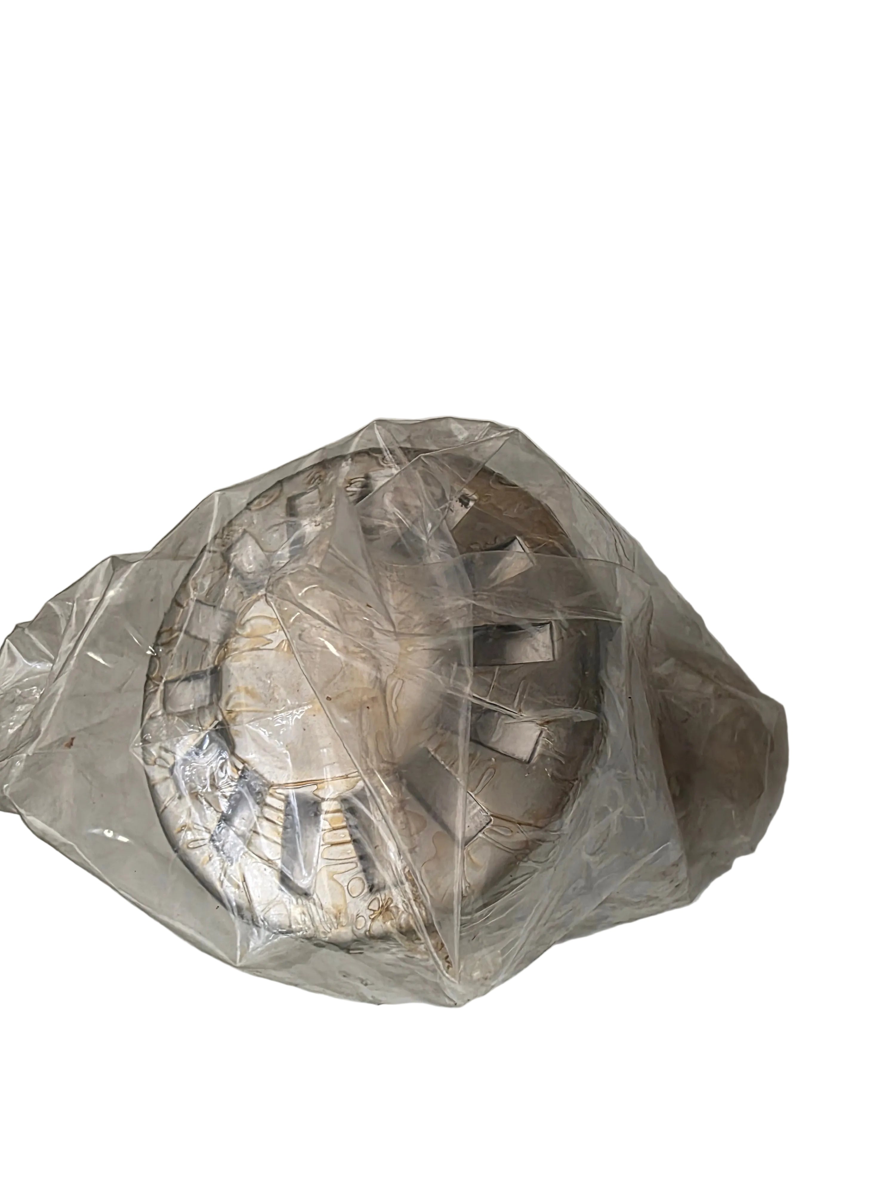 Genuine International 4043517C1 Power Steering Filter
