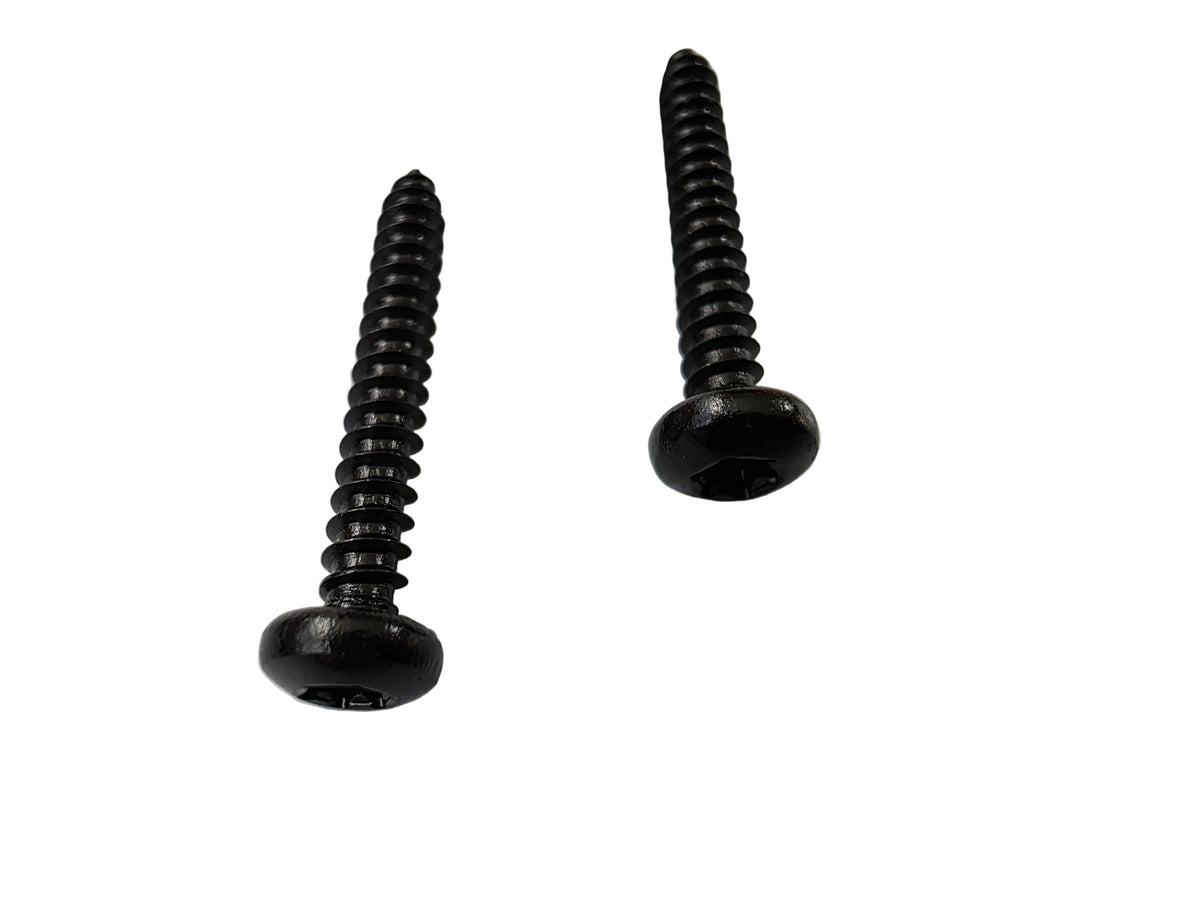 Two TX-15 Black Pan Head Screws on Bright White Background