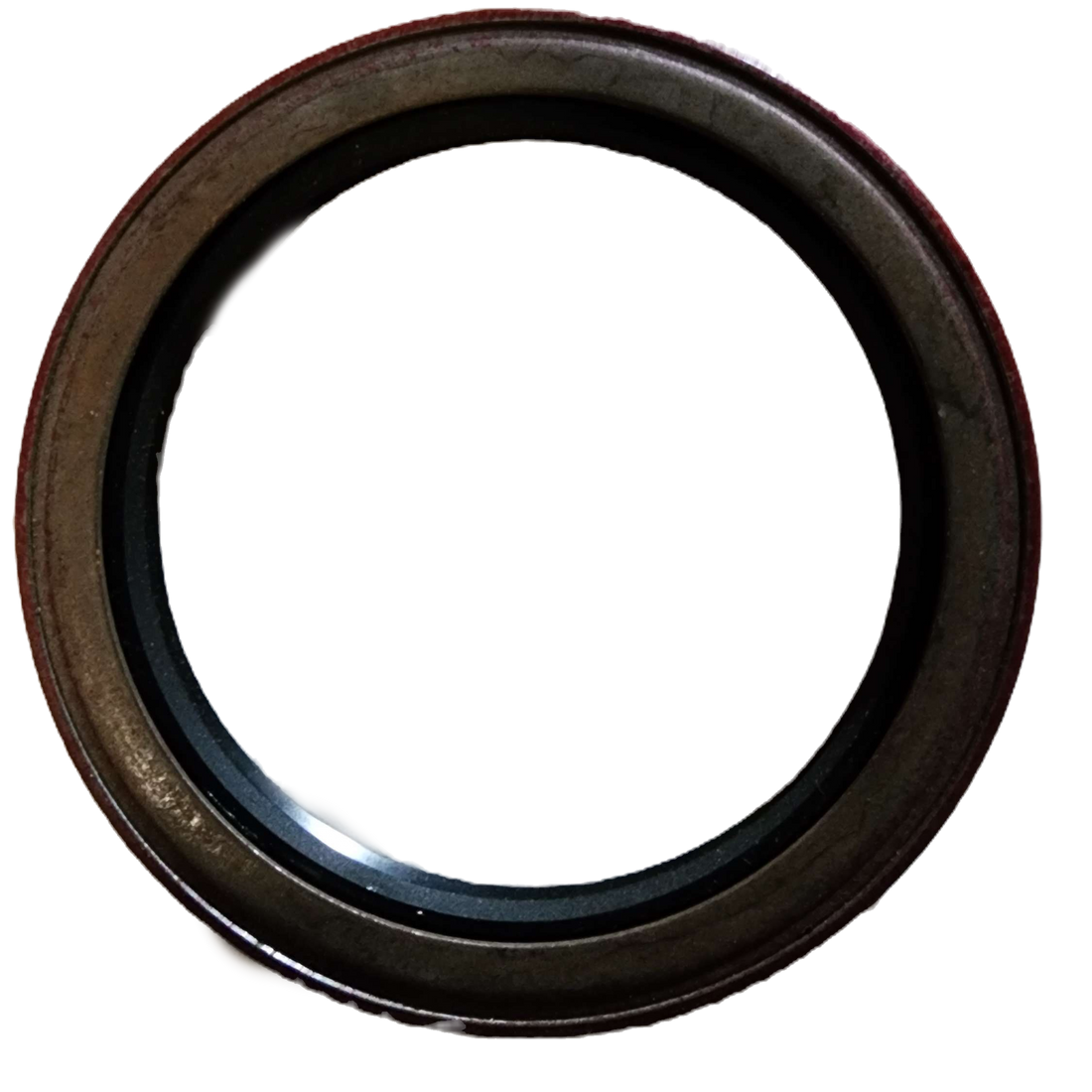 415379 National Oil Seal