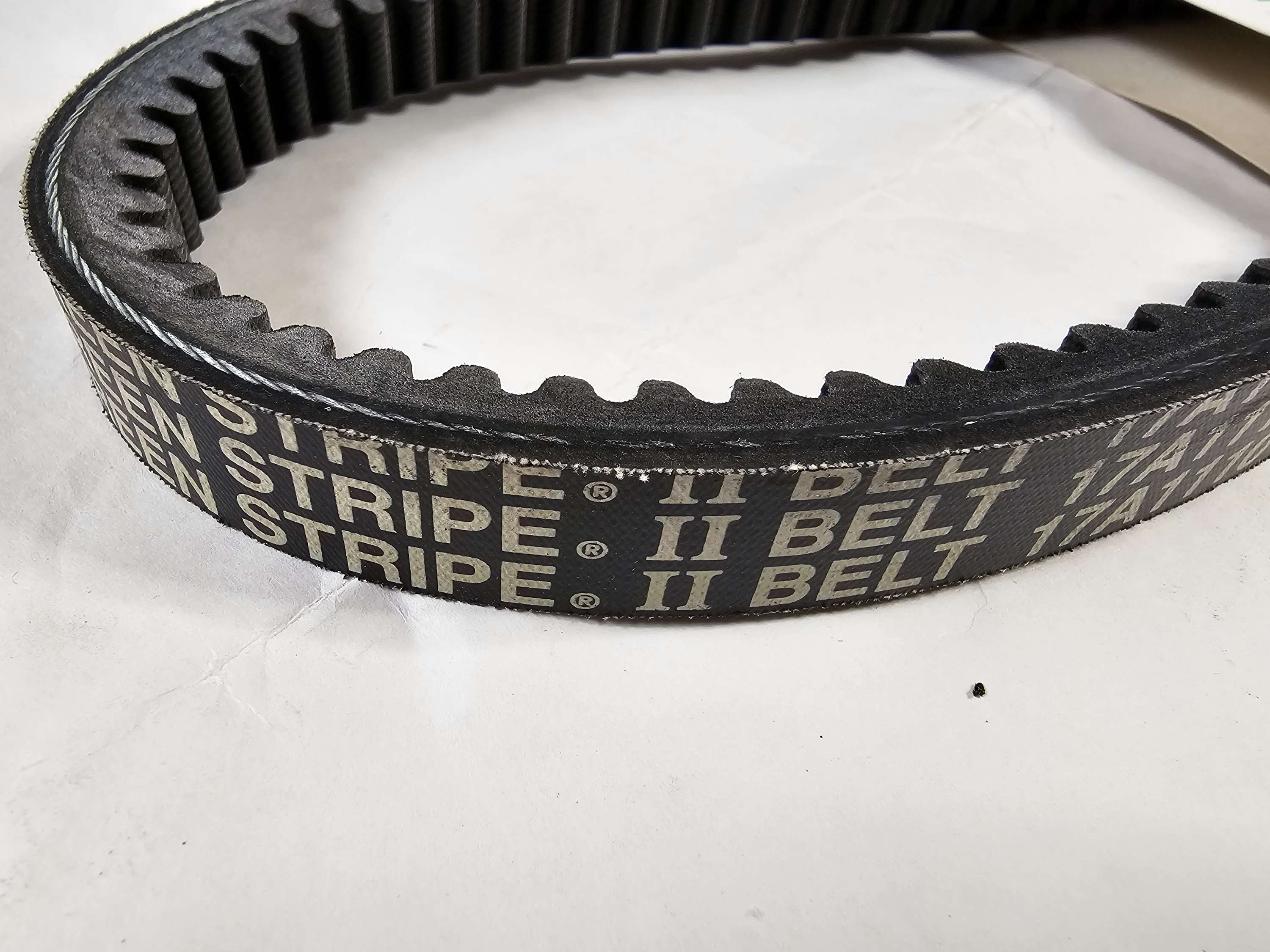 TR24438 Gates Truck Belt 24438
