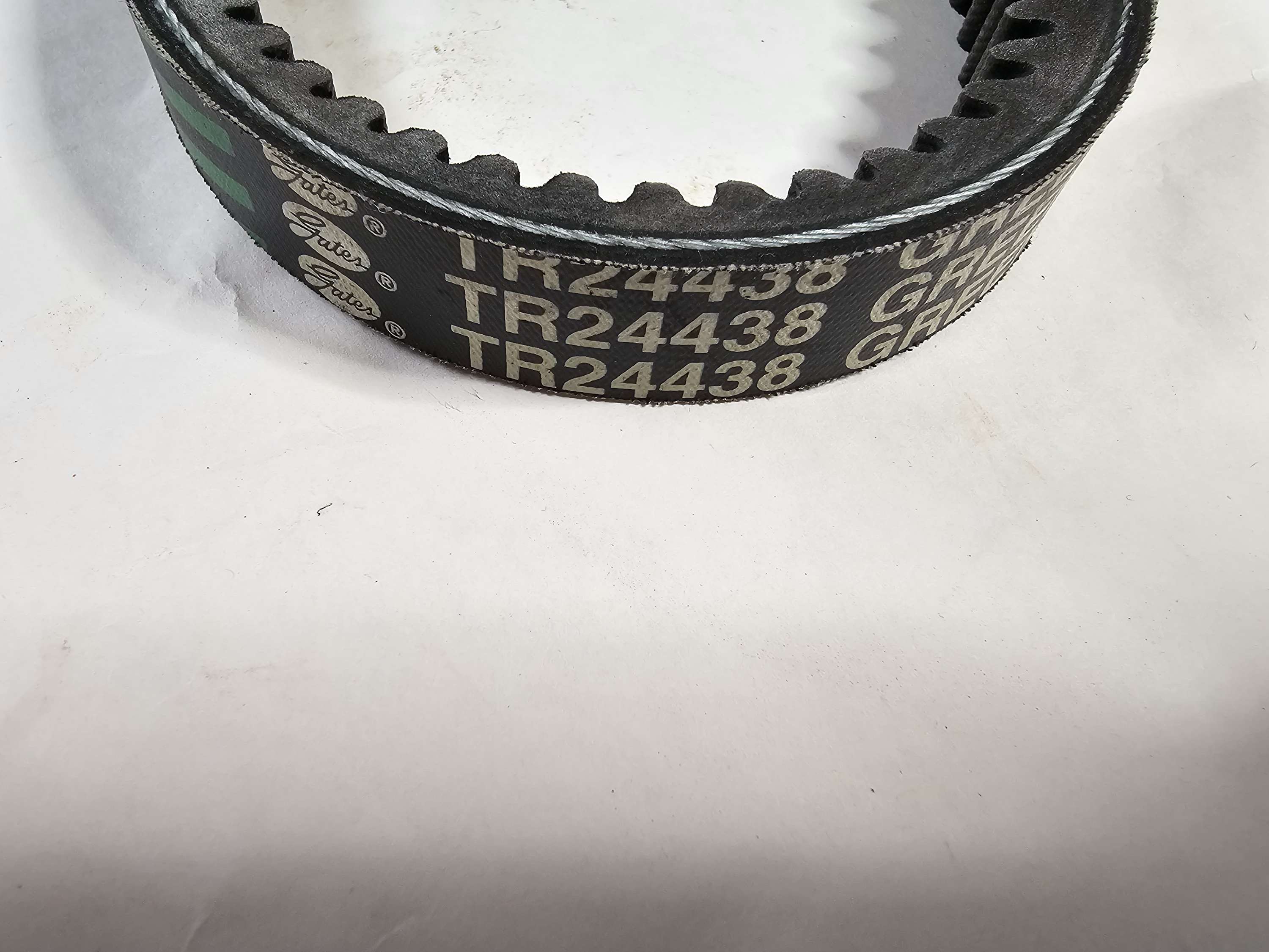 TR24438 Gates Truck Belt 24438