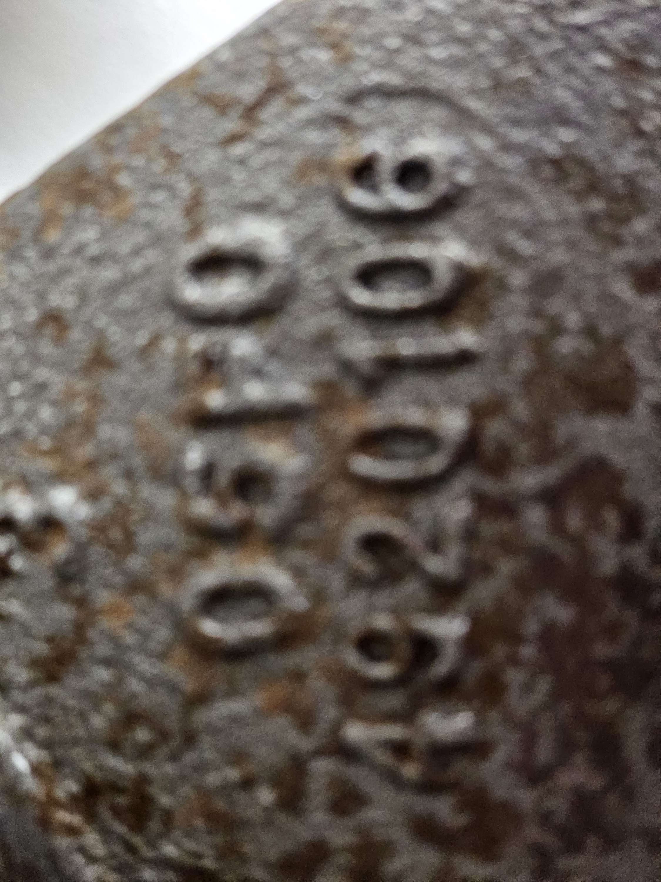 4920106 Support Alternator Cummins