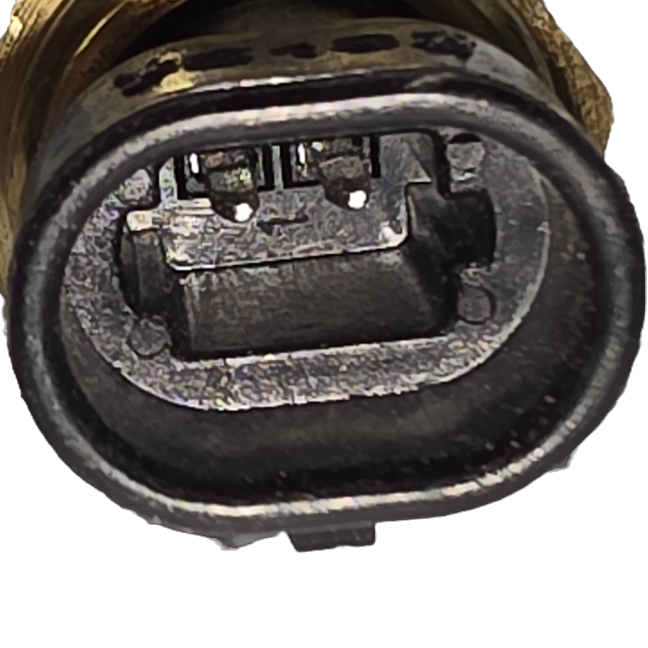 Genuine Cummins 3085185 Temperature Sensor | OEM Engine Sensor